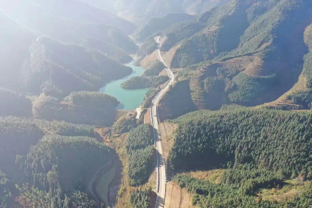 1590625863321469.jpg 1590625863321469.jpg